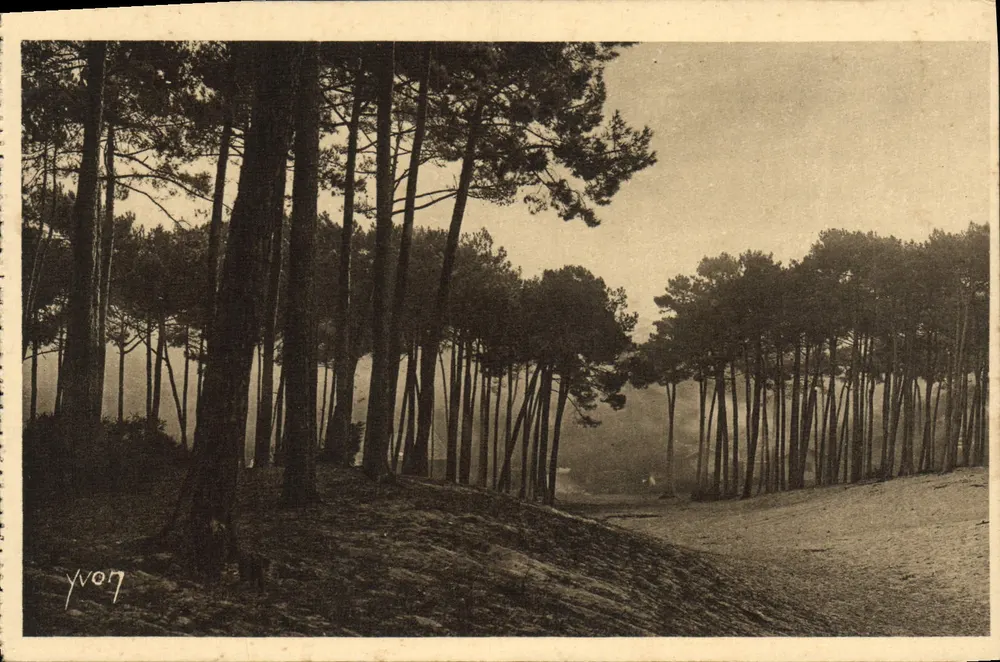 Die großen Dünen der Stadt des Winters — Arcachon — Éditions d'Art YVON - Vorderseite
