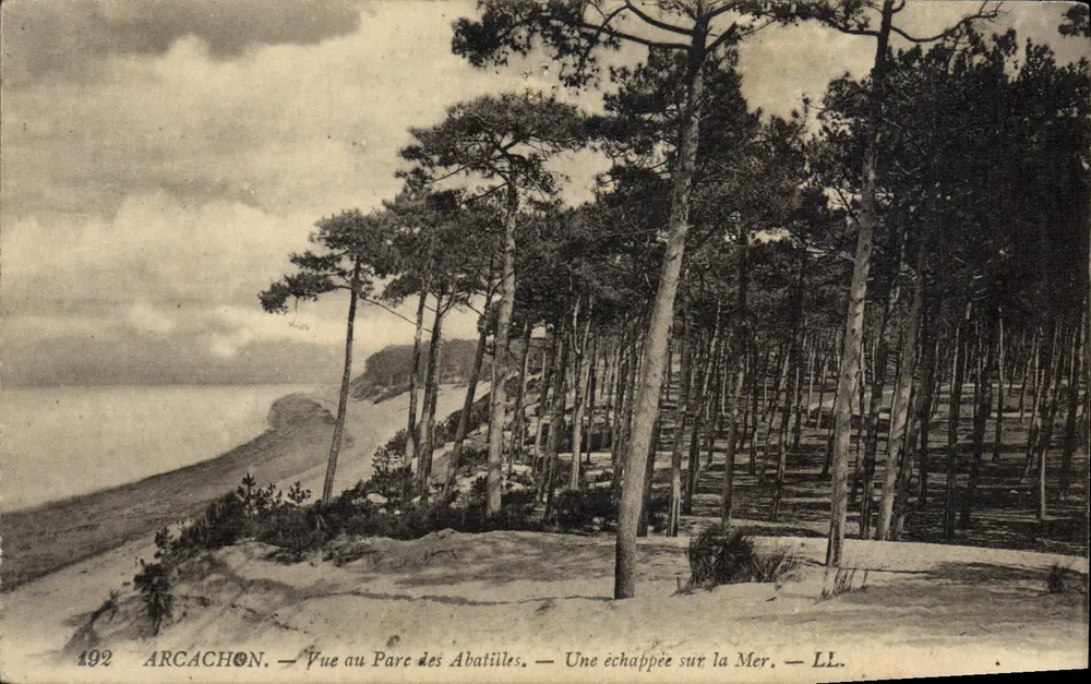 Arcachon — Ansicht des Parc des Abatilles — Ein Blick aufs Meer — LL. - Vorderseite