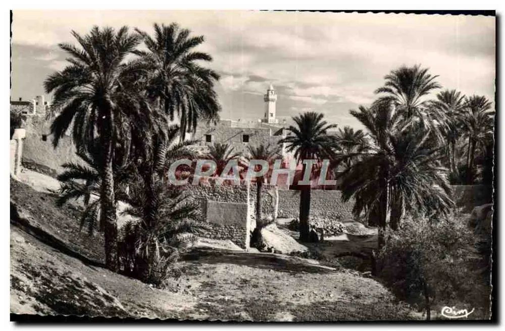 Bou-Saada (Algeria) — Cité du Bonheur — Moschea degli Ouled-Amida — editore CIM - Recto