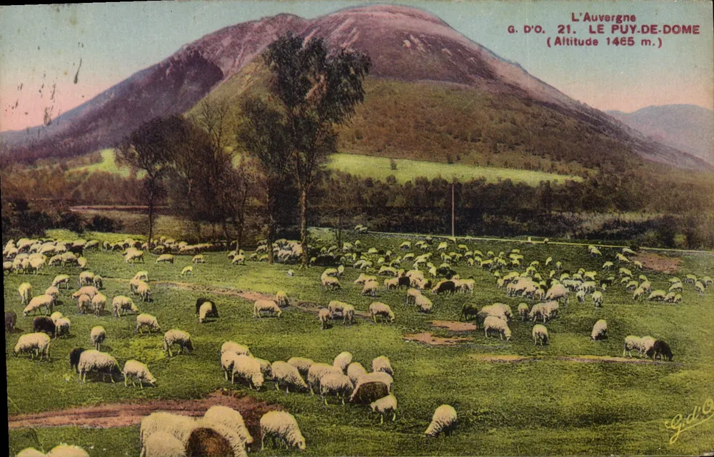 O Puy-de-Dôme — Vista pastoril com ovelhas — G. D'O. n°21 - Frente