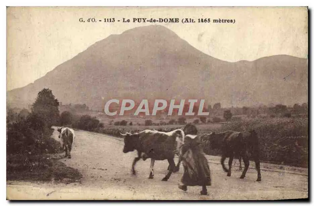 O PUY-de-DOME (Alt. 1465 metros) — vista de montanha com vacas e pastor — G. d'O. n° 1113 - Frente