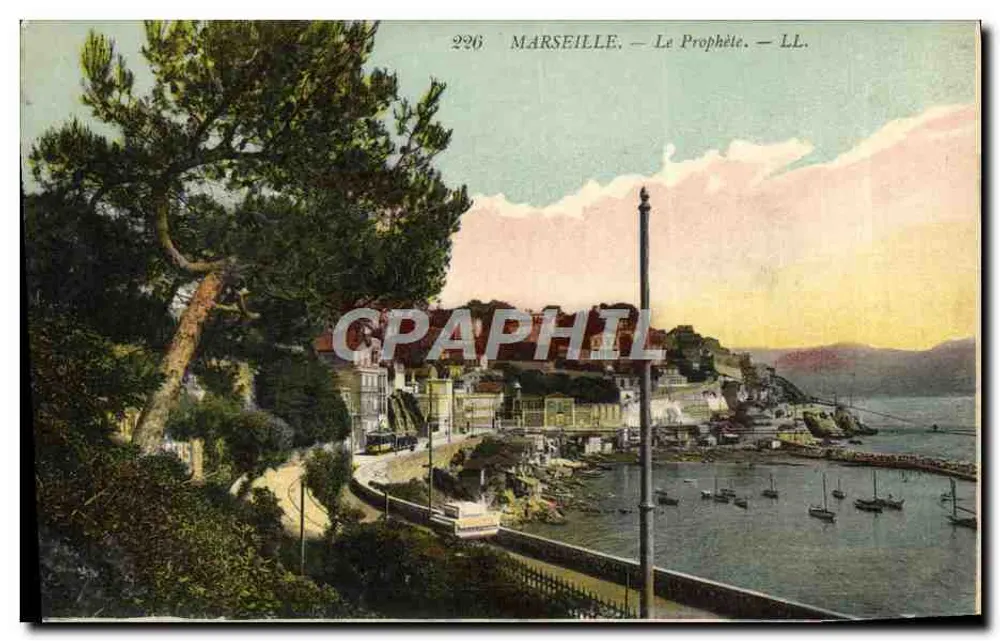 Marselha — O Profeta — LL. — N° 226 - Frente