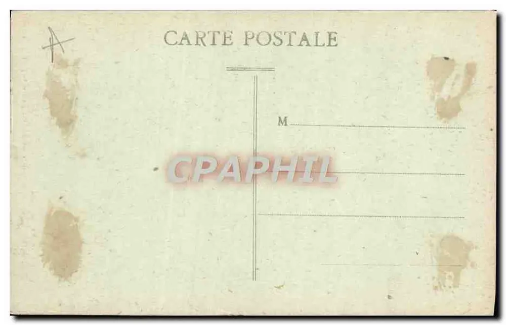 Tours (Loire-et-Loire) — Cours do Museu. O Cedro Gigante — André Boucher, editor, n° 9020 - Verso