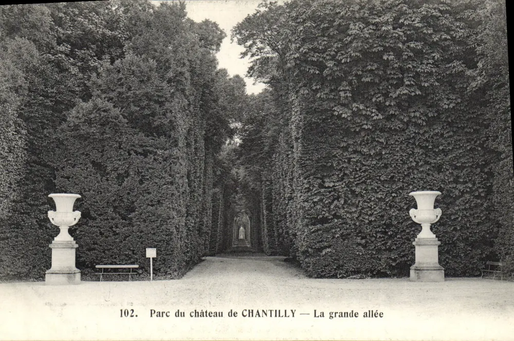 Park des Schlosses CHANTILLY — Die große Allee — Héliotypie Bourdier et Faucheux, Versailles, n° 102 - Vorderseite