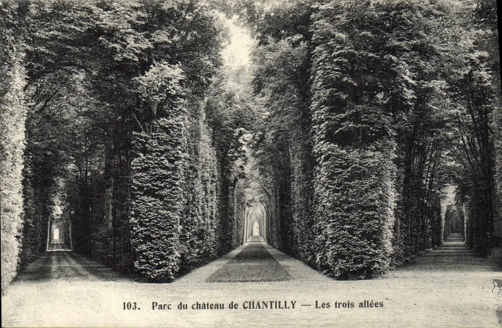 Park des Schlosses CHANTILLY — Die drei Alleen — Héliotypie A. Courdier, Versailles, n° 103 - Vorderseite