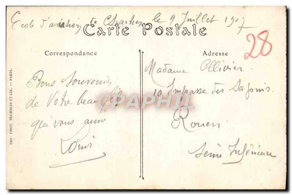 Chartres — A Catedral — ND. Phol. - Verso