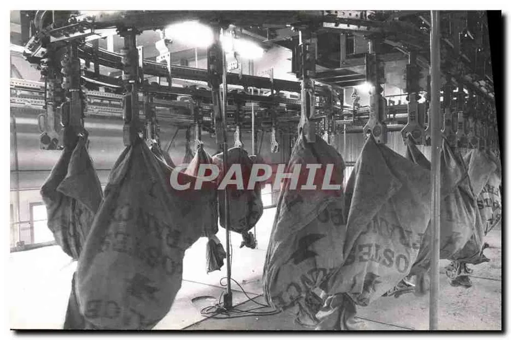 Centro de triagem postal Laroche estação — direcionamento dos sacos — CPAPHIL 1983 - Frente