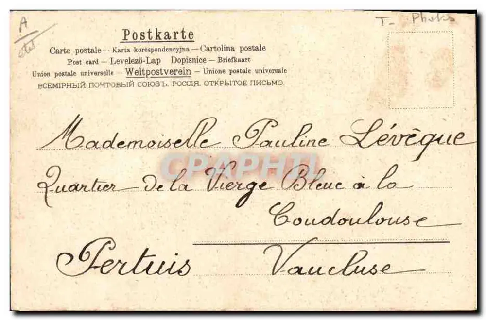 Souvenir du 14 Juin 1905 — portrait d'homme encadré de violettes et de fleurs roses — éditeur T. Photo - Rückseite