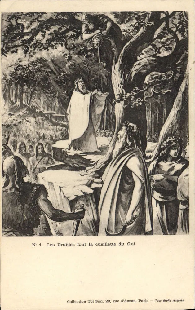 Os Druidas colhem o Guis — Coleção Tol Sim, 28 rue d'Assas, Paris - Frente