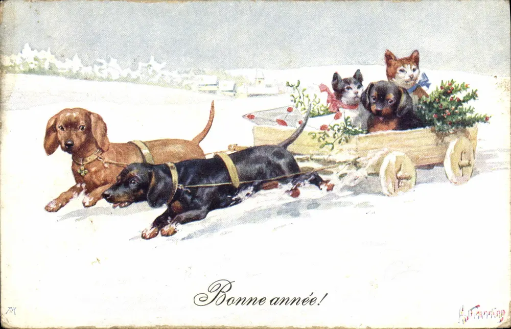 Chiens tirant une charrette avec chats — scène hivernale — éditeur A. T. Furrning - Vorderseite