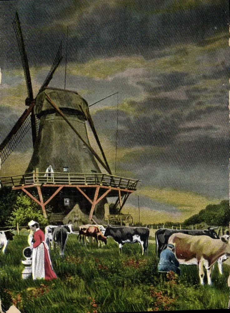 Moulin à vent — scène pastorale avec vaches — éditeur Weltpostverein, série 251 - Awers