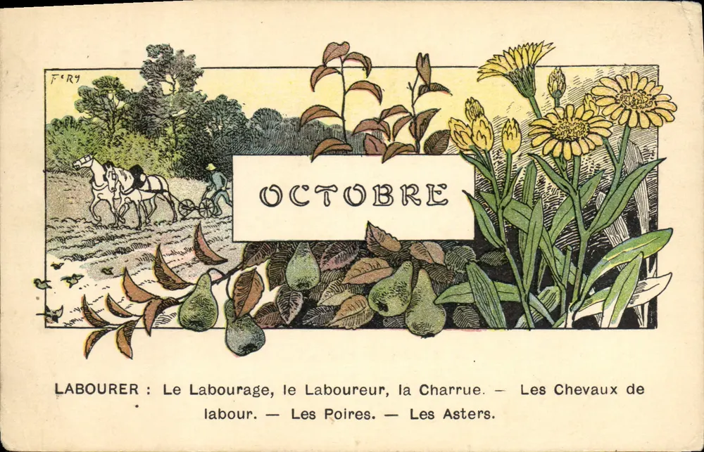 Octobre — Le Labourage, le Laboureur, la Charrue — Les Chevaux de labour. — Les Poires. — Les Asters. - Frente
