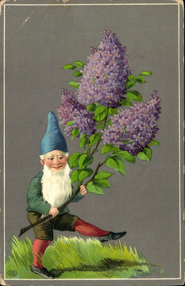 Gnome tenant un buisson de lilas — éditeur CAS - Voorkant
