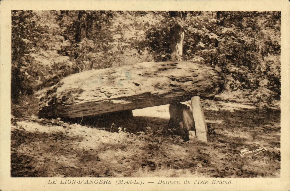 Le Lion-d'Angers (M.-et-L.) — Dolmen de l'Isle Briand - Vorderseite
