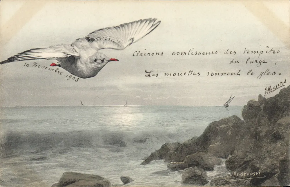 Falcão na mar — Clairons avertisseurs des tempêtes, Les mouettes sonnent le glas — M. Andrcossi - Frente