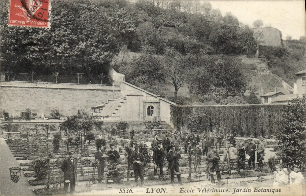 LYON — Tierärztliche Hochschule. Botanischer Garten — Verlag S.T. Nr. 5536 - Vorderseite