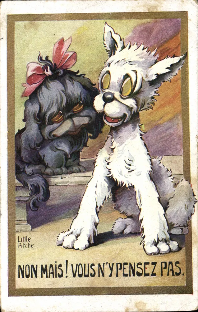 Dois cães — um branco sorridente, um preto triste — com texto 'NON MAIS ! VOUS N'Y PENSEZ PAS.' — Little Pitche, série n°140 - Frente