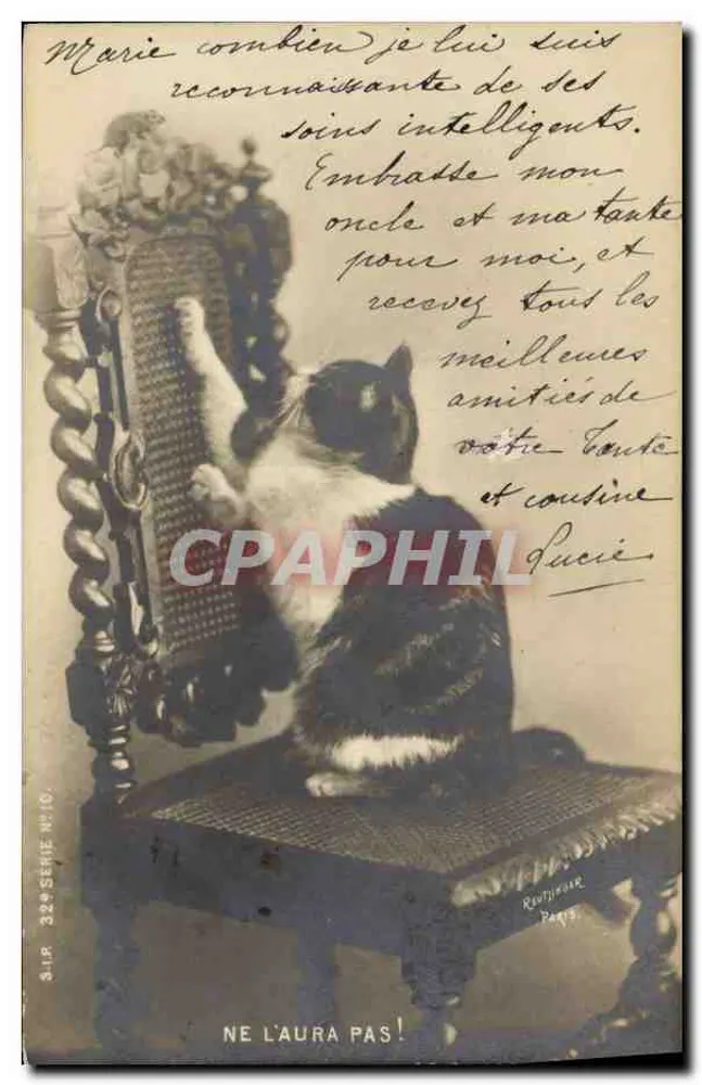 Gato preto e branco sentado em uma cadeira — editor Revueur, Paris, série 324 - Frente