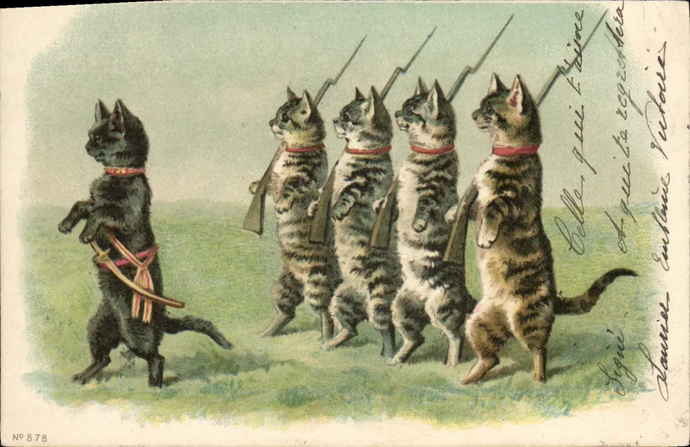 Gatos em formação militar — série N° 878 — editor não identificado - Frente