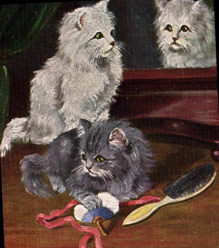 Dois gatos filhotes — um cinza e um branco — brincando perto de um espelho com um brinquedo e uma escova de pelos, editora ERIKA, n°3959 - Frente