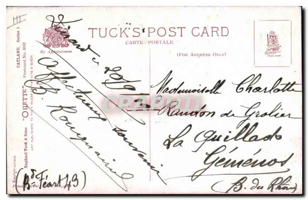 Trzy koty przy oknie — Tuck's Post Card, seria 8853 — wydawca Tuck & Sons - Rewers