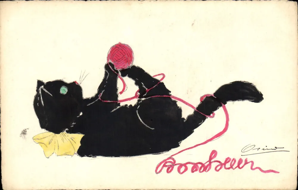 Gato preto brincando com uma bolinha de lã — Boobbeeen — Orléans - Frente