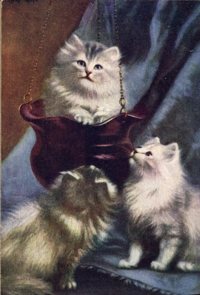 Três gatos filhotes — um sentado em um balanço — editor C.W. Faulkner & Co. Ltd. n° III - Frente