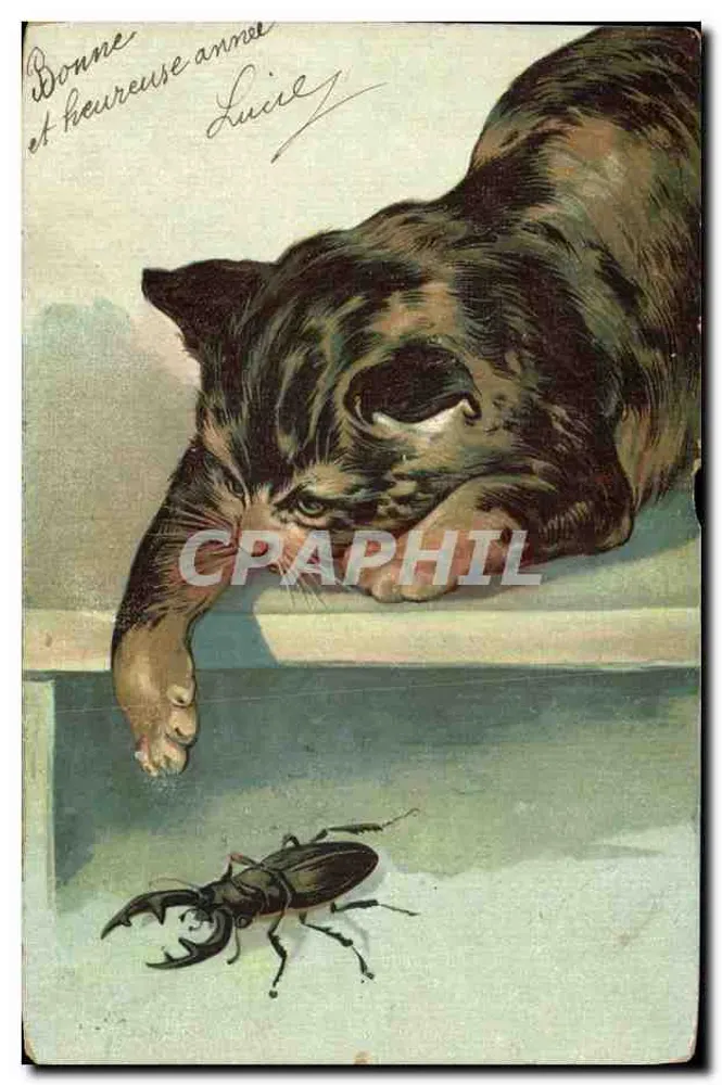 Chat regardant un scarabée — éditeur K. F. Éditeurs, Paris - Frente