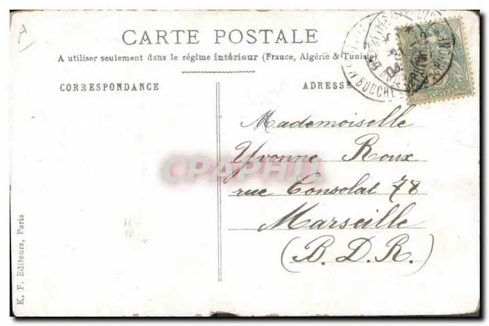 Chat regardant un scarabée — éditeur K. F. Éditeurs, Paris - Verso