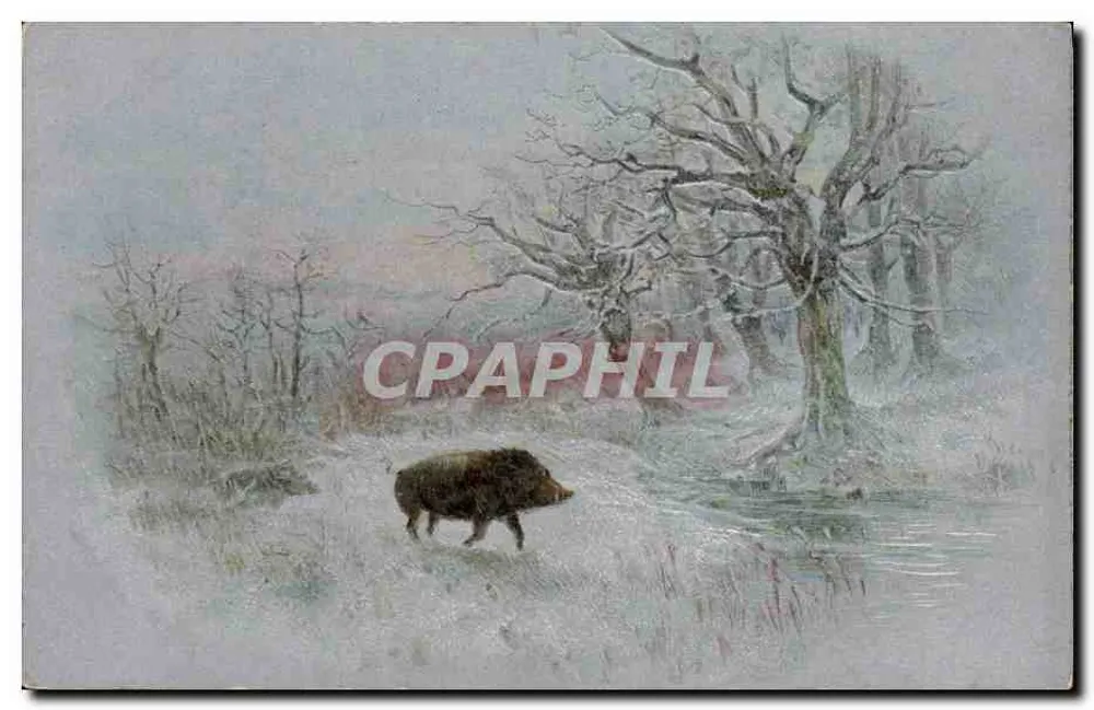 Porco na neve — paisagem invernal — editor não identificado - Frente
