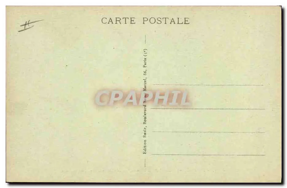 Paris - Museum für Naturgeschichte - Kamel - Rückseite