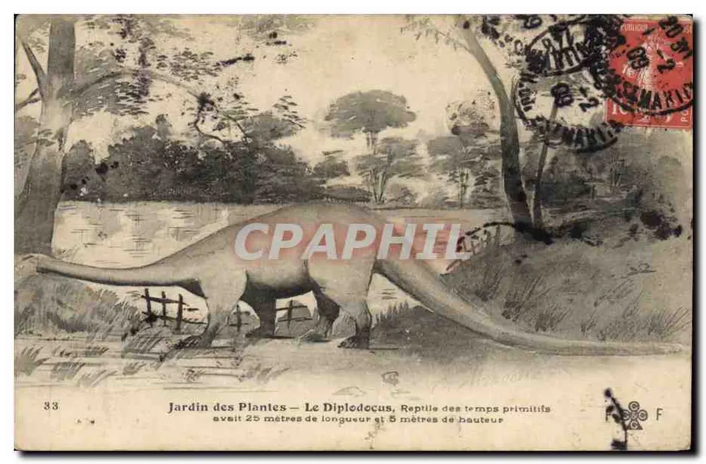 Jardin des Plantes — Der Diplodocus, Reptil der Urzeit — n°33 - Vorderseite