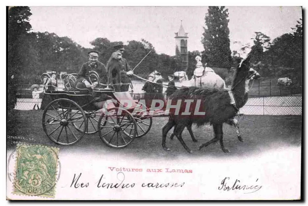 Samochody z lama — Fortunée — wydawca C. Costarock, S.C. - Awers