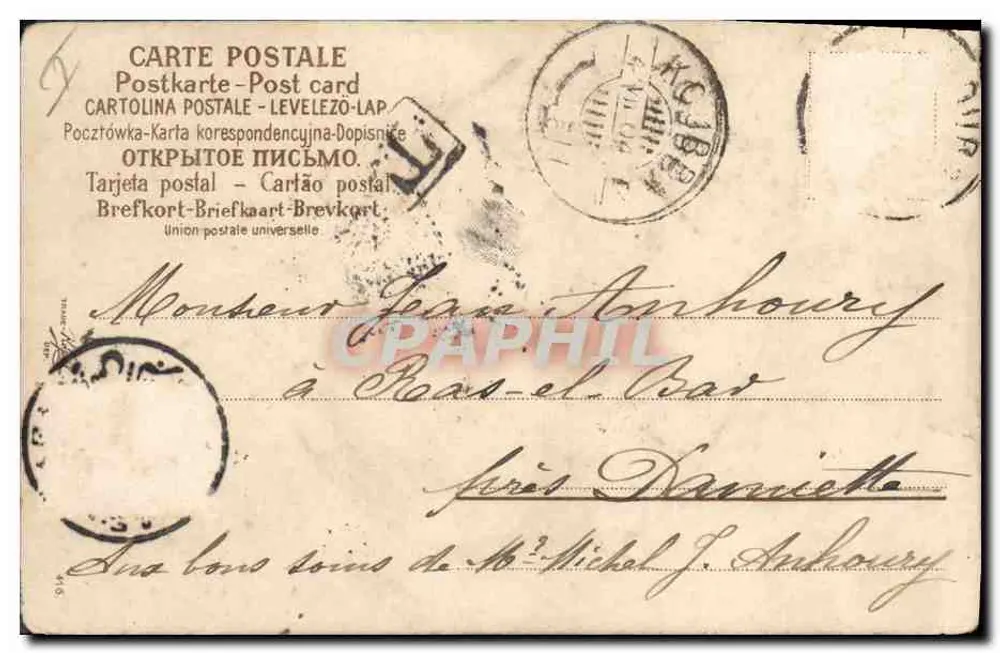 Scène de lapins — animaux dans un décor hivernal — éditeur anonyme - Verso