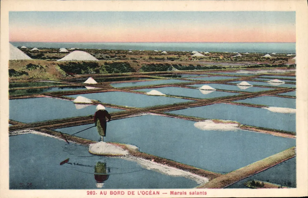 AO LADO DO OCEANO — Marais salants — F. Chapeau, Nantes, n°262 - Frente