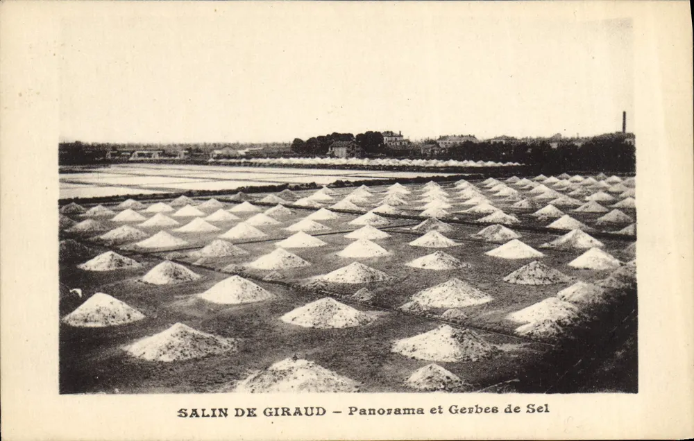 Salzwerke Giraud — Panorama und Salzhaufen - Vorderseite
