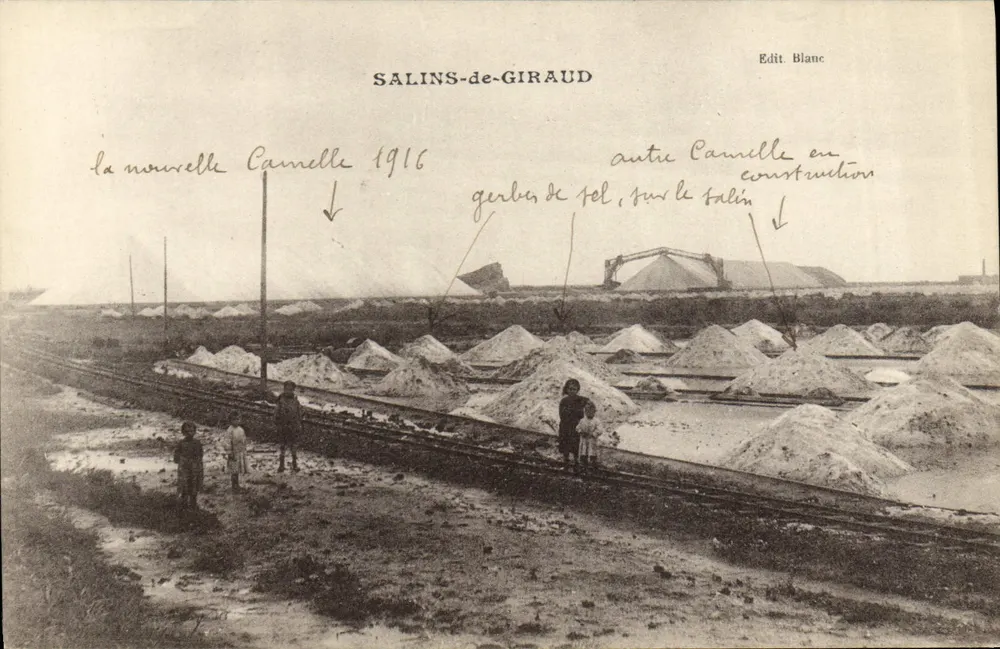 Salins-de-Giraud — Salins e camelos em 1916 — Edit Blanc - Frente