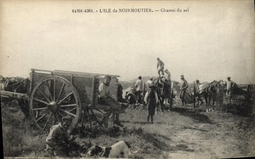Insel Noirmoutier — Salztransport — Verlag Raymond Bergerin, Nr. 14301-4361 - Vorderseite