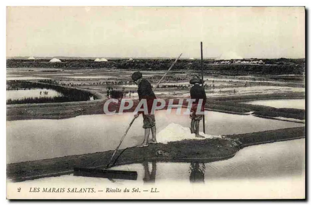 Les Marais Salants — Récolte du Sel — LL. - Frente