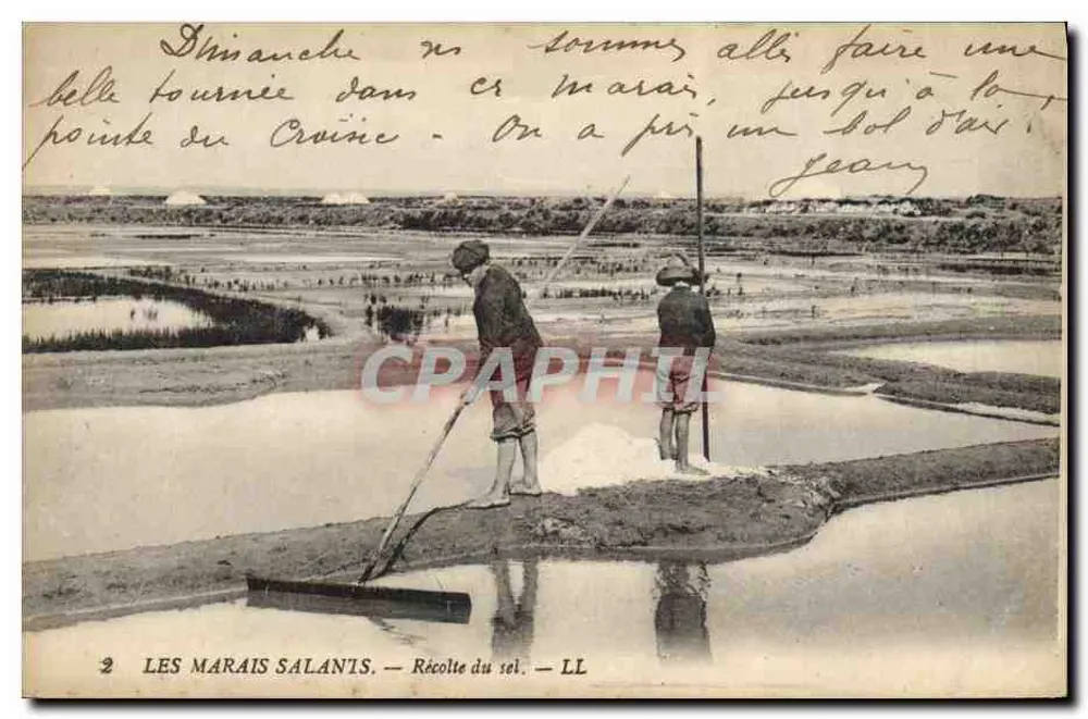 I Marais Salants — Raccolta del sale — LL - Recto
