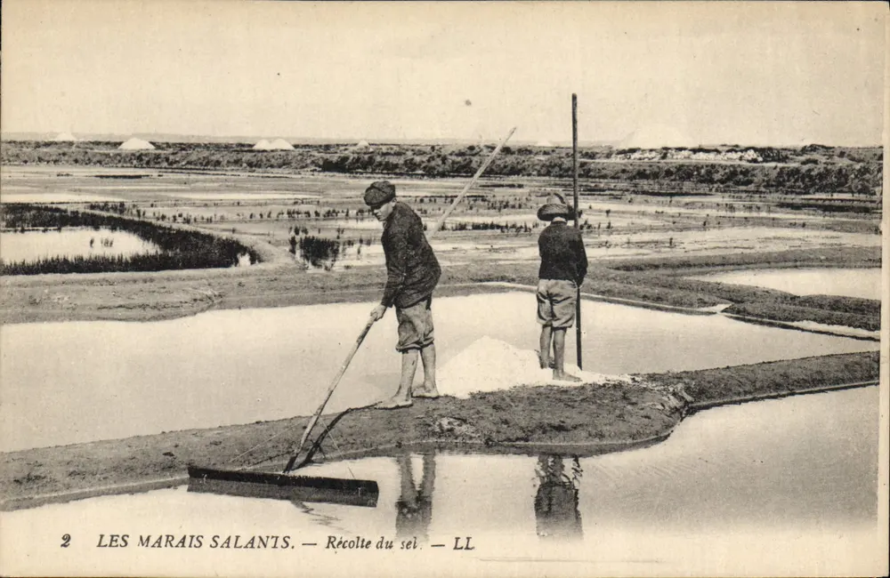 Os Marais Salants — Colheita do sal — LL - Frente