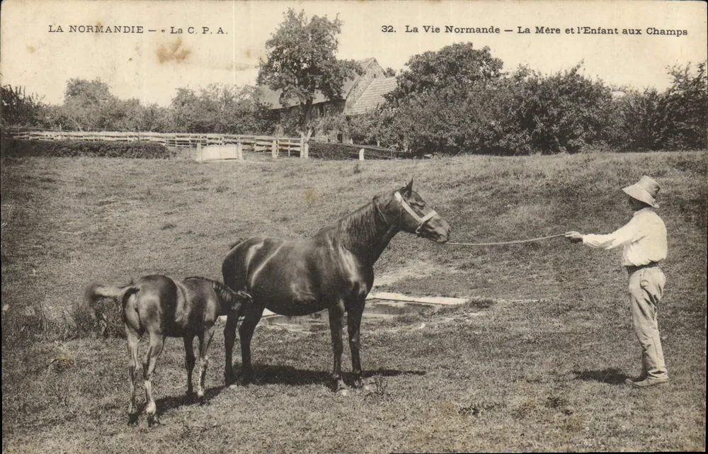 Normandie — Normannisches Leben — Mutter und Kind auf den Feldern — Antike Ansichtskarte n°32 - Vorderseite
