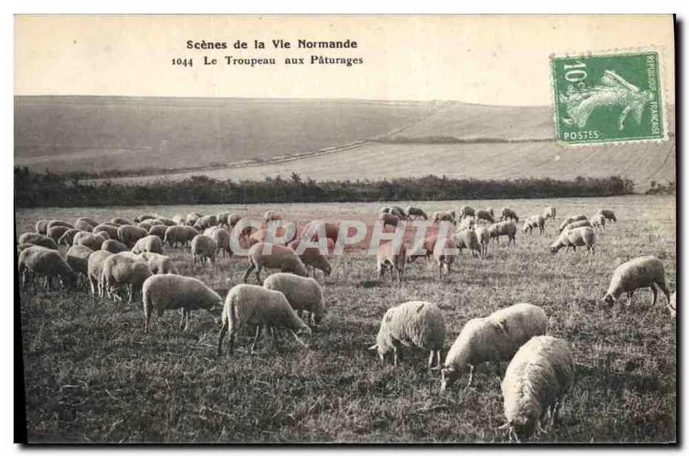 Szenen aus dem normannischen Leben — Die Herde auf den Weiden — Impr. Brochenoux - Vorderseite