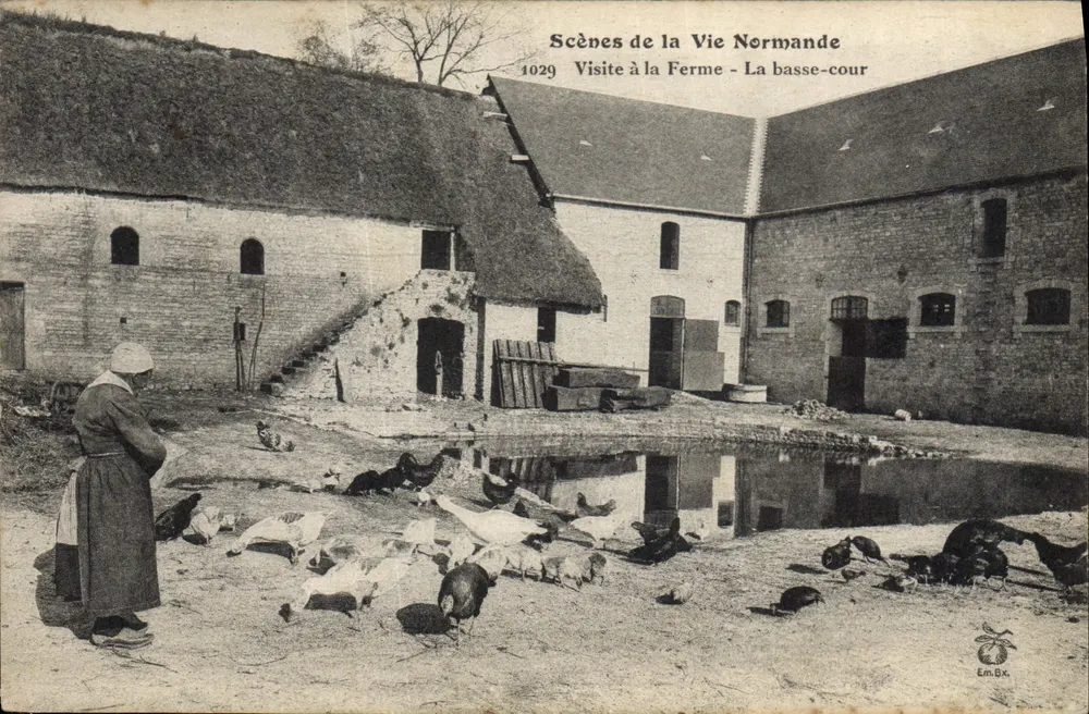 Cenas da Vida Normanda — Visita à Fazenda - A Curral — Em.Bx - Frente