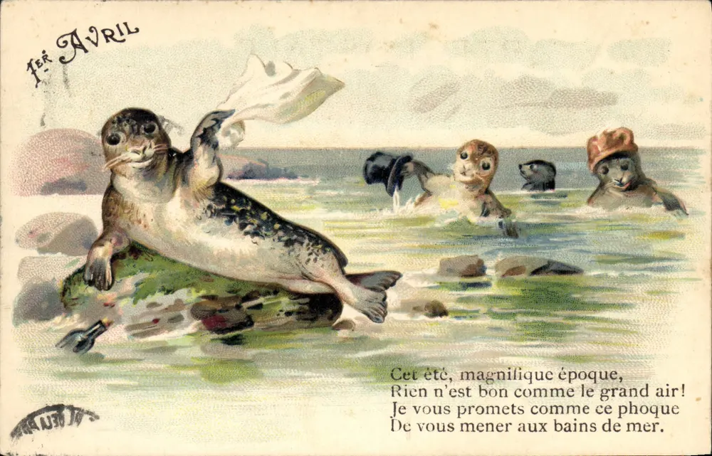 Focas no mar — abril — editor N30 - Frente