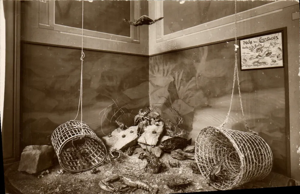 Pêche aux Crustacés — scène de musée — éditeur 'Real-Photo' G. A. P. Strasbourg - Vorderseite