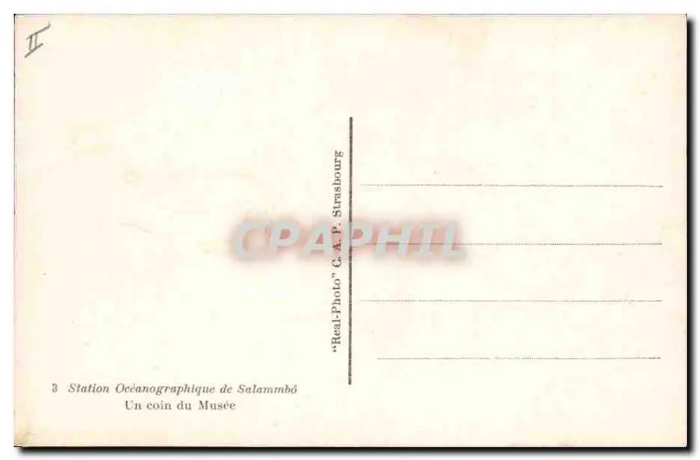 Pêche aux Crustacés — scène de musée — éditeur 'Real-Photo' G. A. P. Strasbourg - Rückseite