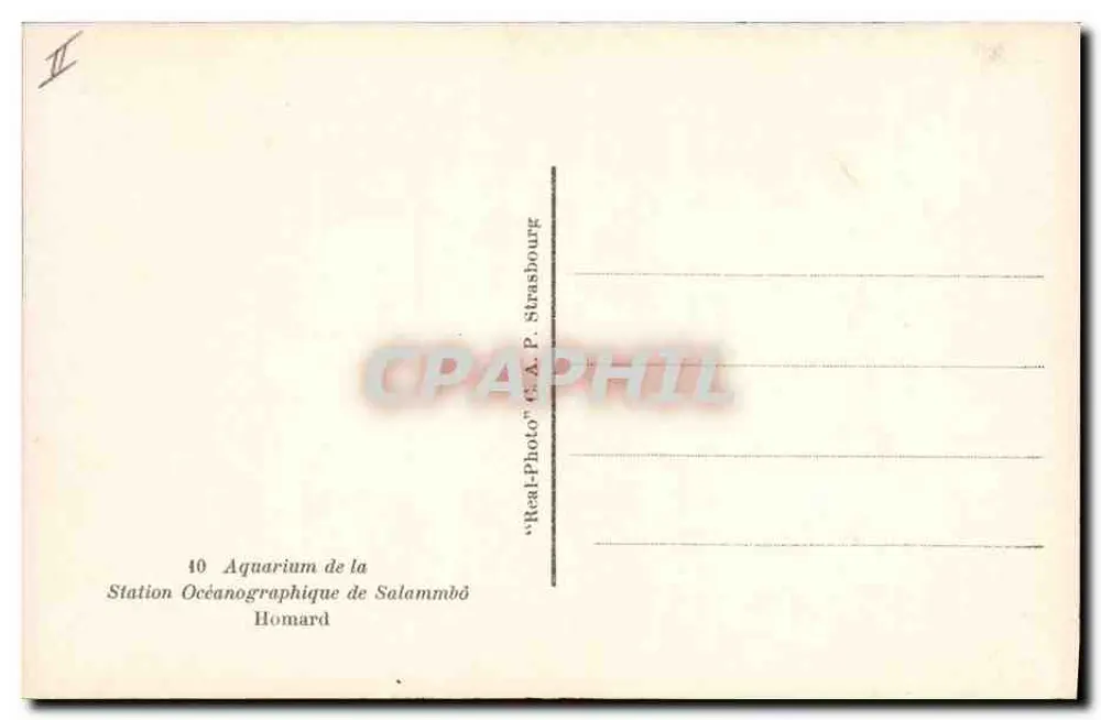 Caranguejo — Estação Oceanográfica de Salammbô — Estação Oceanográfica de Salammbô — C.A.P. Strasbourg - Verso