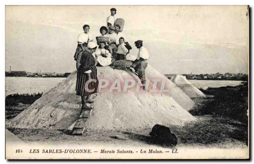 Les Sables-d'Olonne — Salzwiesen — Un Mulan — LL - Vorderseite