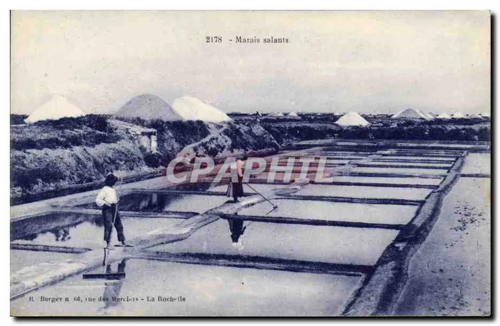 Marais salants - La Rochelle — Editor R. Berger n° 66, rue des Merciers - Frente